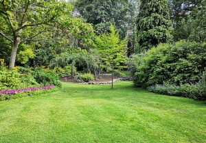 Optimiser l'expérience du jardin à Moulins-sur-Yevre